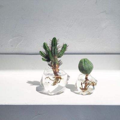 大小单双赚钱平台